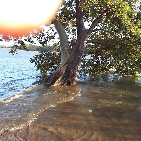 Niduwari Lake Homestay 담불라 외부 사진