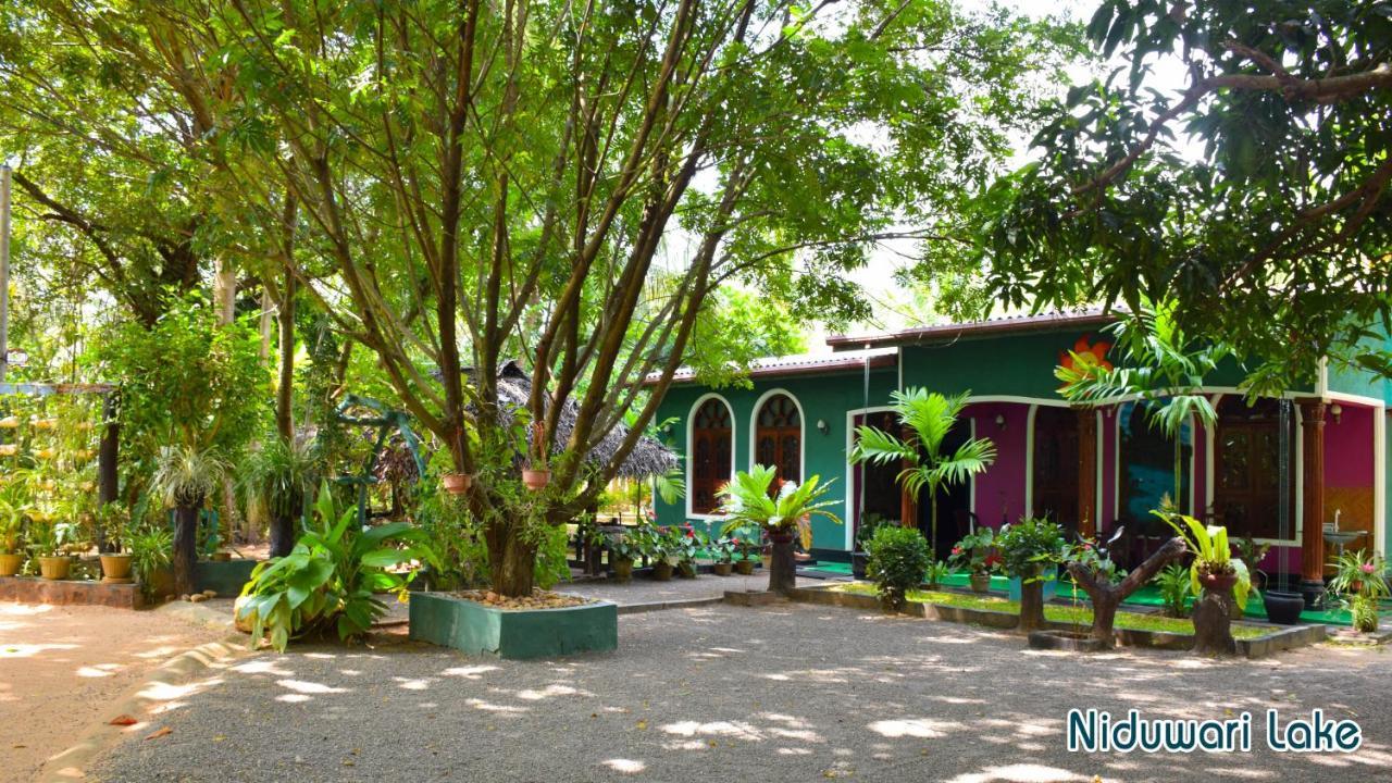 Niduwari Lake Homestay 담불라 외부 사진